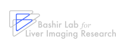 Bashir Lab for Liver Imaging Research